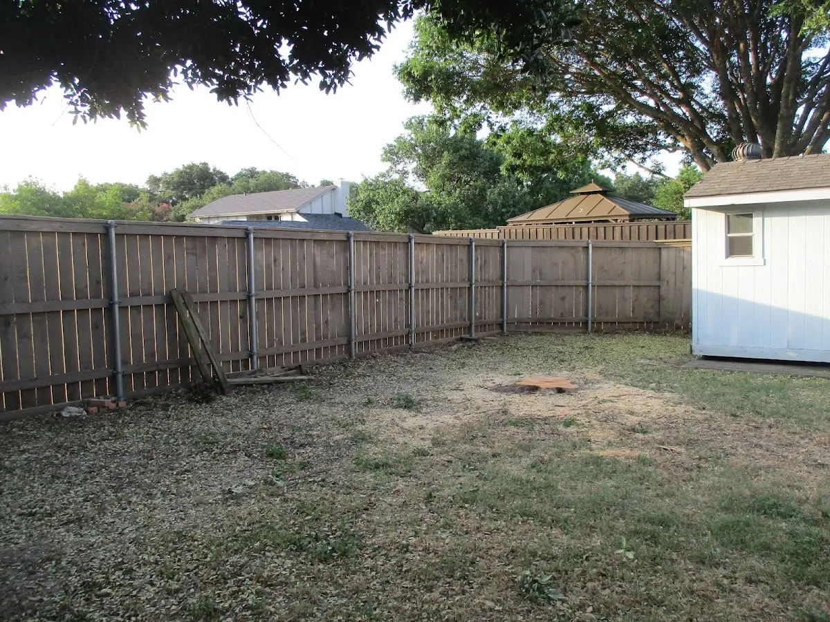 Cleared yard after professional tree removal in New Glarus