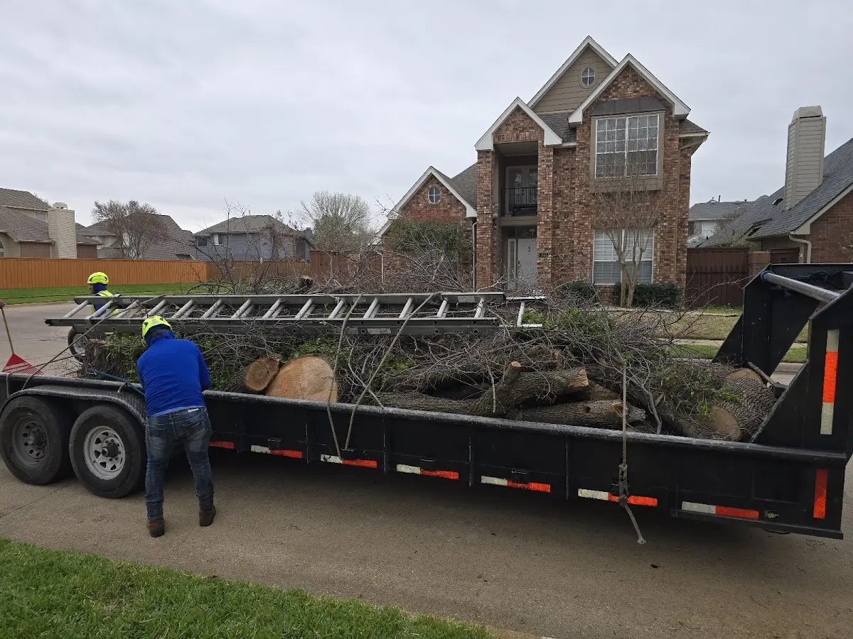 Expert Tree Fertilization with proper safety equipment in New Glarus